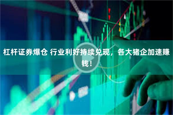 杠杆证券爆仓 行业利好持续兑现，各大猪企加速赚钱！