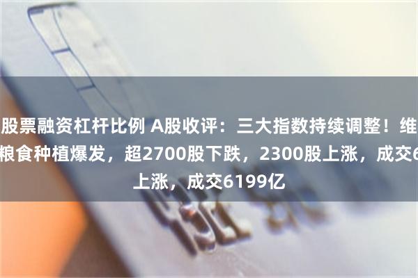 股票融资杠杆比例 A股收评：三大指数持续调整！维生素、粮食种植爆发，超2700股下跌，2300股上涨，成交6199亿