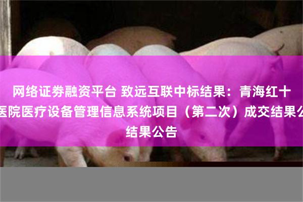 网络证劵融资平台 致远互联中标结果：青海红十字医院医疗设备管理信息系统项目（第二次）成交结果公告