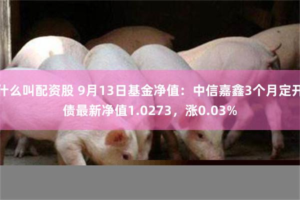 什么叫配资股 9月13日基金净值：中信嘉鑫3个月定开债最新净值1.0273，涨0.03%