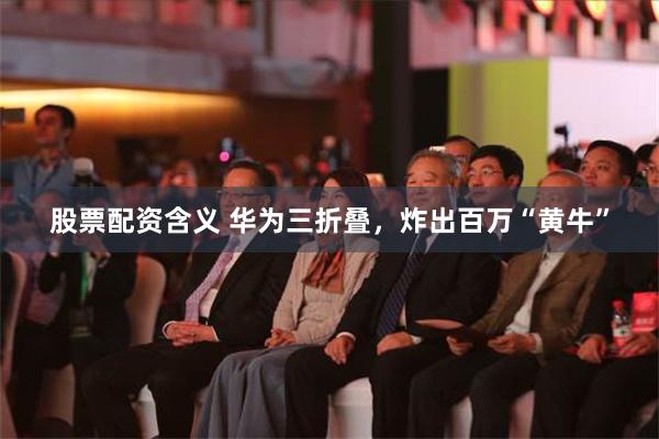 股票配资含义 华为三折叠，炸出百万“黄牛”
