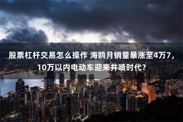 股票杠杆交易怎么操作 海鸥月销量暴涨至4万7，10万以内电动车迎来井喷时代？