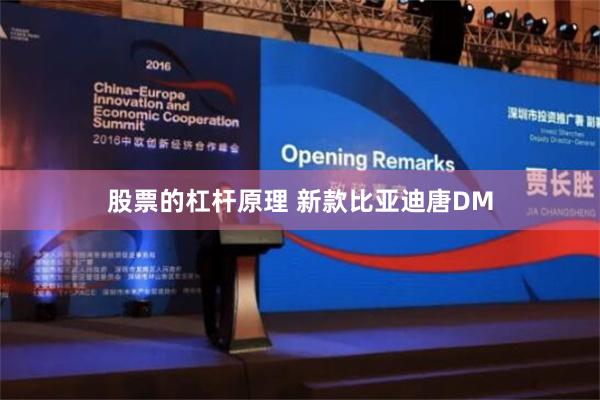 股票的杠杆原理 新款比亚迪唐DM