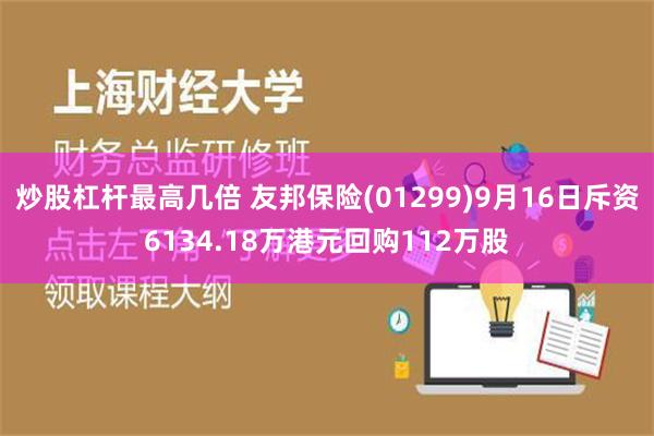 炒股杠杆最高几倍 友邦保险(01299)9月16日斥资6134.18万港元回购112万股