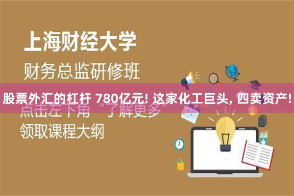 股票外汇的杠杆 780亿元! 这家化工巨头, 四卖资产!
