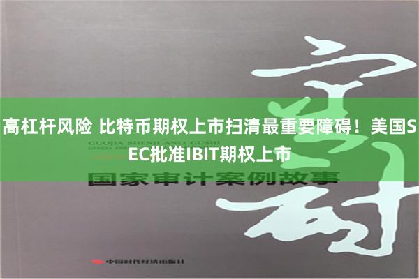 高杠杆风险 比特币期权上市扫清最重要障碍！美国SEC批准IBIT期权上市