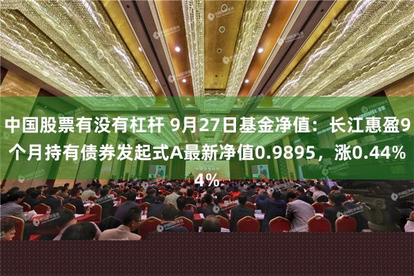 中国股票有没有杠杆 9月27日基金净值：长江惠盈9个月持有债券发起式A最新净值0.9895，涨0.44%