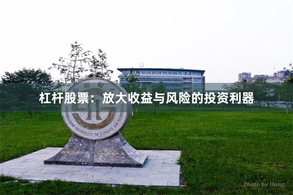 杠杆股票：放大收益与风险的投资利器