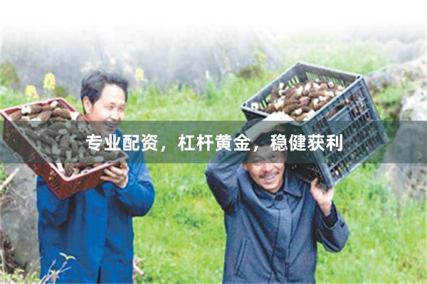 专业配资，杠杆黄金，稳健获利