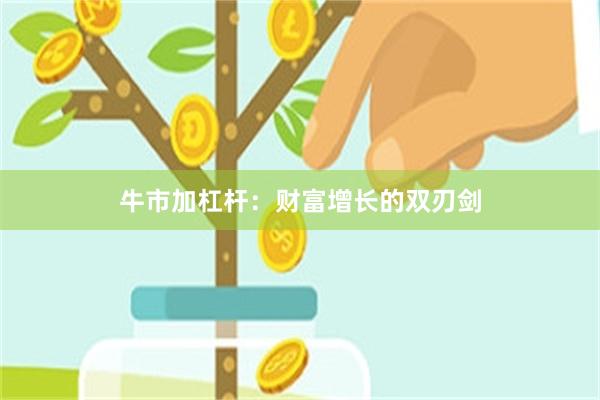 牛市加杠杆：财富增长的双刃剑