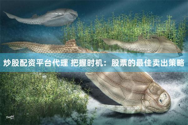 炒股配资平台代理 把握时机：股票的最佳卖出策略