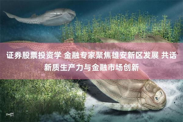 证券股票投资学 金融专家聚焦雄安新区发展 共话新质生产力与金融市场创新