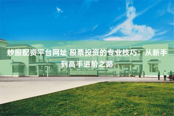 炒股配资平台网址 股票投资的专业技巧：从新手到高手进阶之路