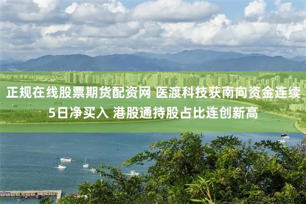 正规在线股票期货配资网 医渡科技获南向资金连续5日净买入 港股通持股占比连创新高