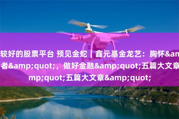 比较好的股票平台 预见金蛇｜鑫元基金龙艺：胸怀&quot;国之大者&quot;，做好金融&quot;五篇大文章&quot;