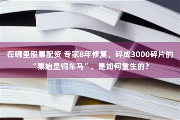 在哪里股票配资 专家8年修复，碎成3000碎片的“秦始皇铜车马”，是如何重生的？