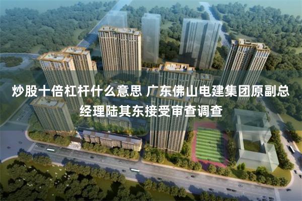 炒股十倍杠杆什么意思 广东佛山电建集团原副总经理陆其东接受审查调查