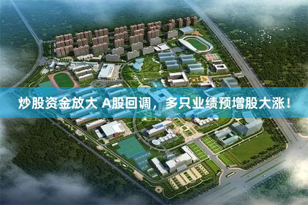 炒股资金放大 A股回调，多只业绩预增股大涨！