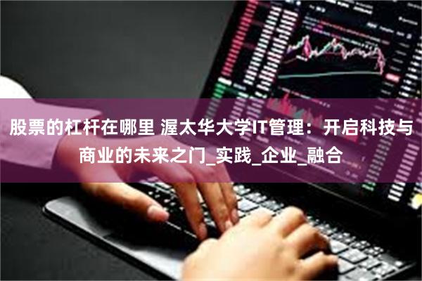 股票的杠杆在哪里 渥太华大学IT管理：开启科技与商业的未来之门_实践_企业_融合