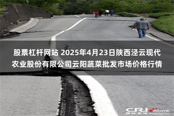 股票杠杆网站 2025年4月23日陕西泾云现代农业股份有限公司云阳蔬菜批发市场价格行情