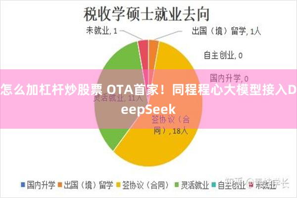 怎么加杠杆炒股票 OTA首家！同程程心大模型接入DeepSeek