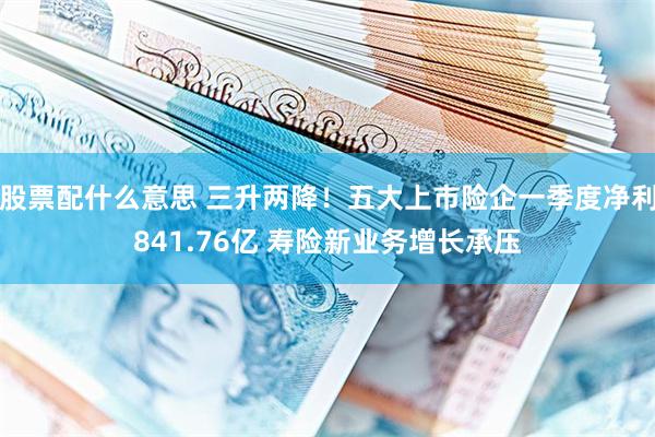 股票配什么意思 三升两降！五大上市险企一季度净利841.76亿 寿险新业务增长承压