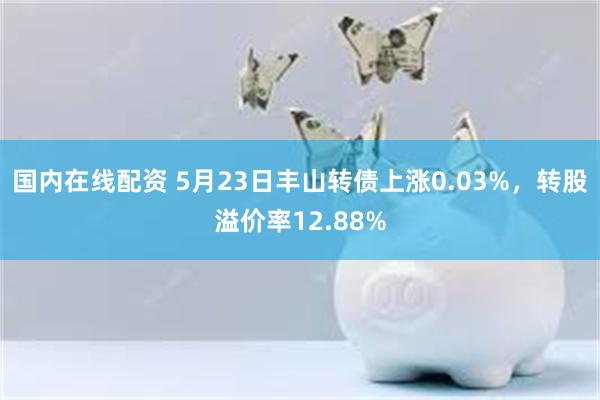 国内在线配资 5月23日丰山转债上涨0.03%，转股溢价率12.88%