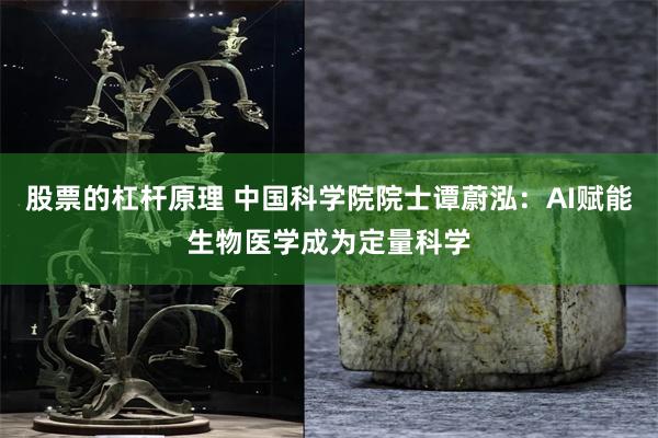 股票的杠杆原理 中国科学院院士谭蔚泓：AI赋能生物医学成为定量科学