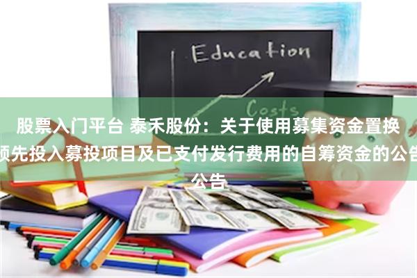 股票入门平台 泰禾股份：关于使用募集资金置换预先投入募投项目及已支付发行费用的自筹资金的公告
