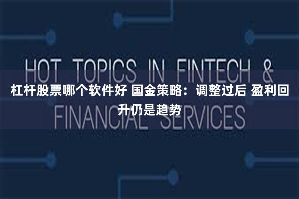 杠杆股票哪个软件好 国金策略：调整过后 盈利回升仍是趋势
