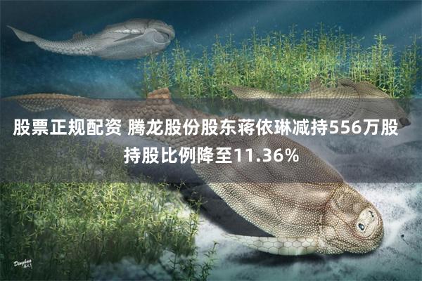 股票正规配资 腾龙股份股东蒋依琳减持556万股  持股比例降至11.36%